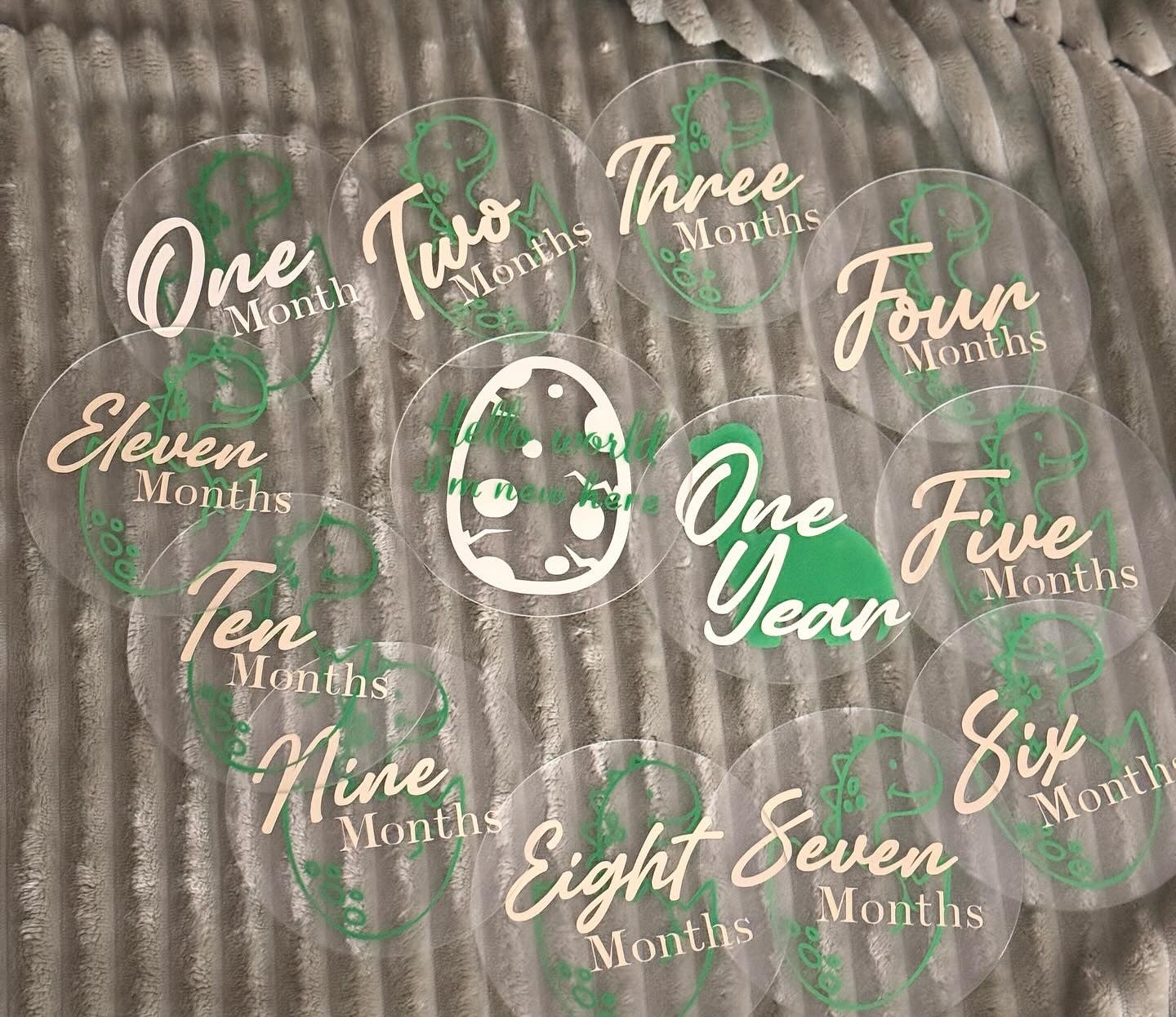 Baby Milestone Discs